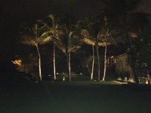 Landscape Lighting